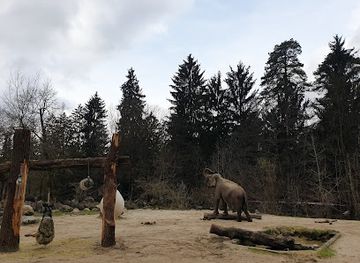 slovenia/ljubljana/attraction/ljubljana-zoo