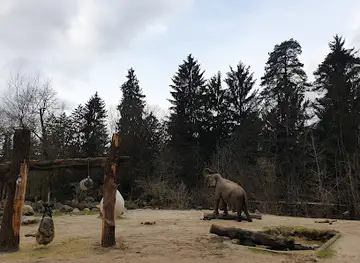 Ljubljana Zoo