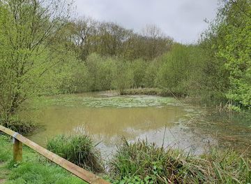 united-kingdom/huntingdonshire/attraction/aversley-wood