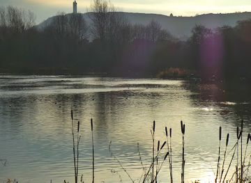 ireland/ulster-part-within-current-ireland/attraction/kiltonga-nature-reserve