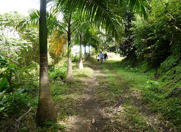 grenada/sauteurs/attraction/myristic-mountain