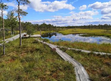 estonia/soomaa-national-park/attraction/swamp-swimming-area