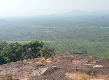 uganda/bwindi-impenetrable-national-park/attraction/kwifabi-eco-farm-rubumba