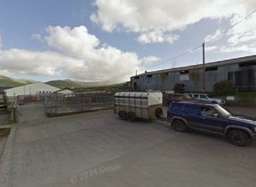 ireland/dingle/attraction/north-grov