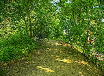 poland/pomerania/attraction/najwyzszy-naturalny-punkt-strzyzy