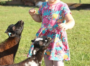 czechia/north-moravia/attraction/zoopark-zelcin