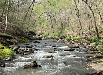 maryland/cunningham-falls-state-park/attraction/gunpowder-falls-state-park-hammerman-area