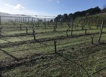 portugal/viana-do-castelo/attraction/quinta-cova-da-raposa