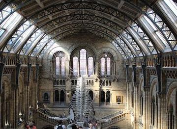 united-kingdom/windsor/attraction/natural-history-museum