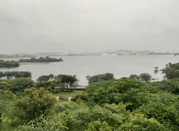 Jungle Safari Park Udaipur