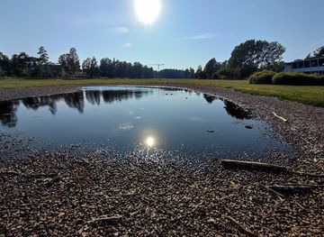 finland/espoo/tapiola/attraction/ankkalampi