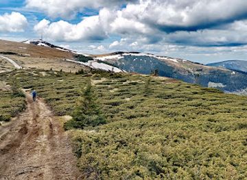 romania/bihor-mountains/attraction/varful-curcubata-mica