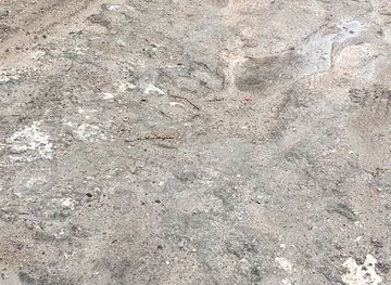 jordan/ajloun-forest-reserve/attraction/wadi-al-rayan