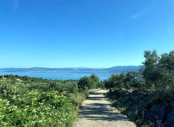 croatia/central-croatia/attraction/brac-put-maslina-central-dalmatia-croatia-theme-trails