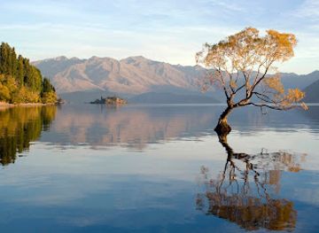 new-zealand/wanaka/attraction/fish-cruise-wanaka-ltd