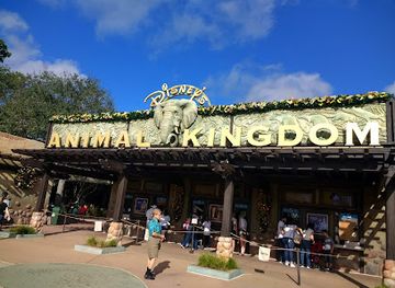 Disney's Animal Kingdom Theme Park