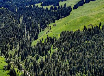 kazakhstan/kolsai-lakes-national-park/attraction/view-to-the-mountains