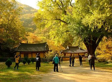 south-korea/pohang/attraction/ungok-seowon