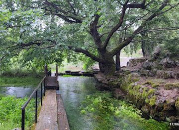 greece/mount-parnassus/attraction/source-of-the-kephissos-river