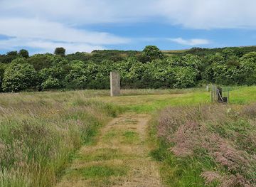 united-kingdom/ross-shire/attraction/hilton-of-cadboll-stone