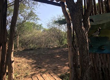 eswatini/big-bend/attraction/bird-hide