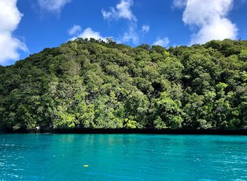 palau/ngemelis/attraction/the-cemetery-paradise-corner