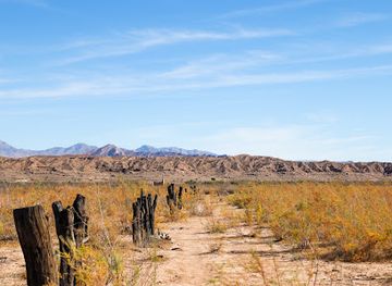nevada/lake-mead-national-recreation-area/attraction/historic-st-thomas-loop-trail