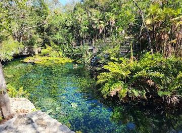 mexico/cozumel/attraction/cenote-nic-te-ha