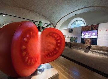italy/parma/attraction/museum-of-tomato
