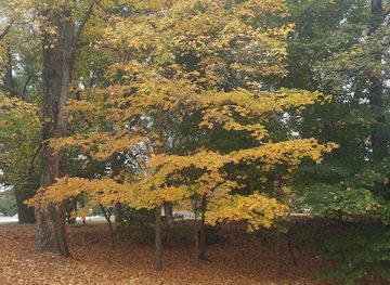 virginia/blacksburg/attraction/marcia-s-park