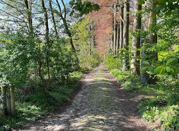 belgium/louvain-la-neuve/attraction/barriere-du-cure-tue