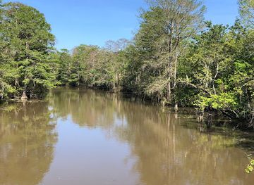 louisiana/honey-island-swamp/attraction/gulf-coast-eco-tour