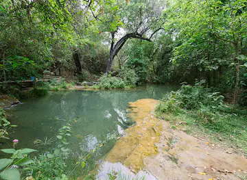 Monkey Pools