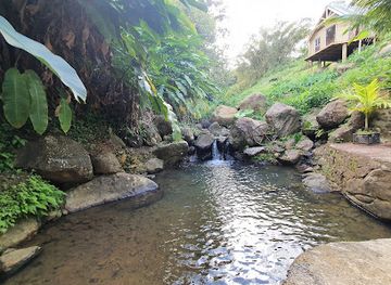 grenada/bbc-beach/attraction/river-lands-cottage