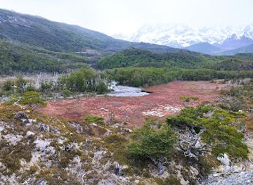 chile/tierra-del-fuego/attraction/yendegaia-national-park