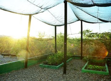 brazil/caatinga/attraction/instituto-ecologico-caatinga