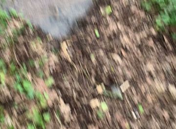 guernsey/pleinmont-point/attraction/fauxquets-valley