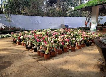 india/pune/attraction/empress-botanical-garden