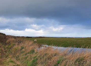 isle-of-man/peel/attraction/blue-point