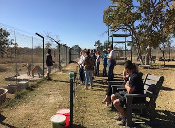 south-africa/waterberg/attraction/jugomaro-predator-park