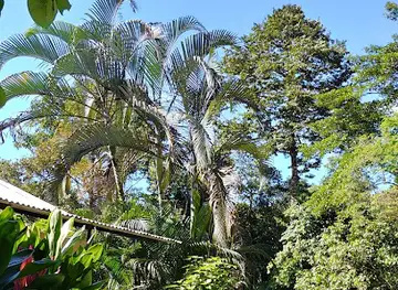 Manuel Antonio Bee Farm
