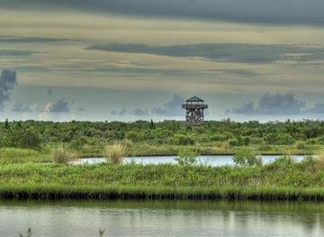 florida/sarasota/attraction/robinson-preserve