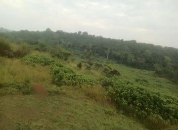 uganda/fort-portal/attraction/kibale-national-park-information-office