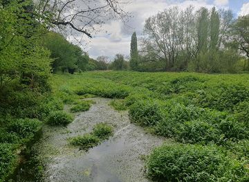 united-kingdom/middlesex/attraction/lemsford-springs