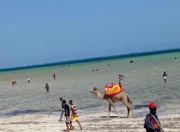 kenya/north-eastern-province/attraction/jomo-kenyatta-public-beach