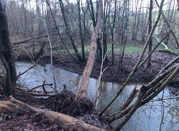 denmark/slagelse/attraction/naturpark-skovso