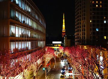 japan/tokyo/roppongi/attraction/roppongi-keyakizaka-st
