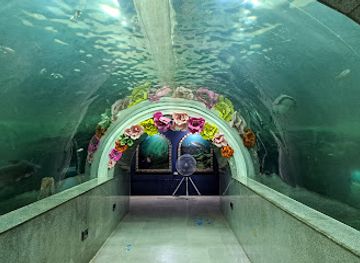 thailand/mekong-river-region/attraction/maekong-underwater-world