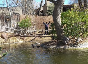 new-mexico/sante-fe/attraction/nedra-matteucci-galleries