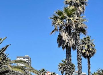 chile/vina-del-mar/attraction/plaza-colombia